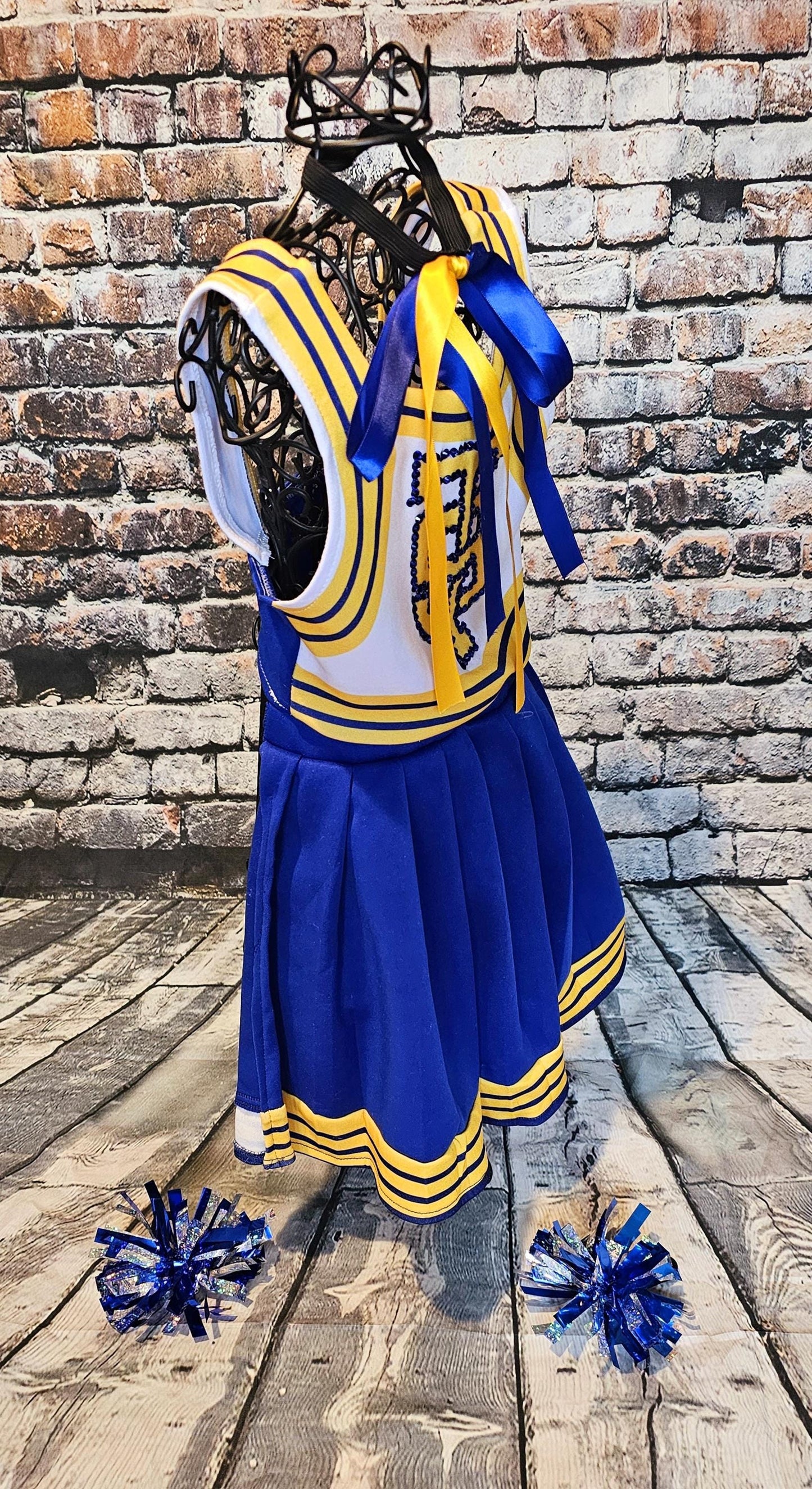 - Taylor 1989 Pet Era, Taylor 1989 pet era dress, Taylor Swift Pet cheerleading costume, 1989 cat era, 1989 dog era, Taylor Swift pet cheerleader