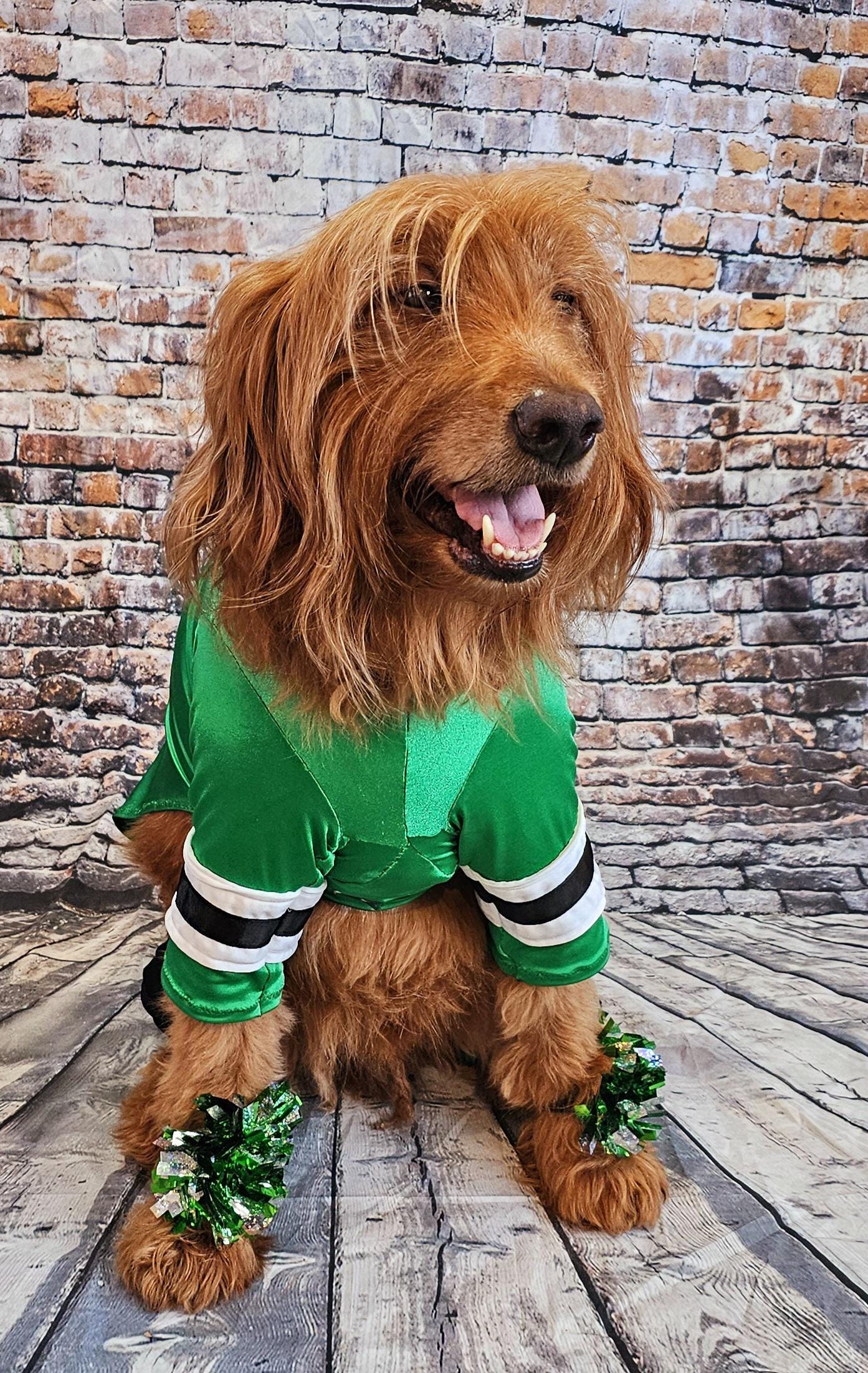 Dallas Stars pet costume, Dallas Star dog costume, Green pet Dancer costume, Green cheerleading pet costume, Dallas Stars cat costume