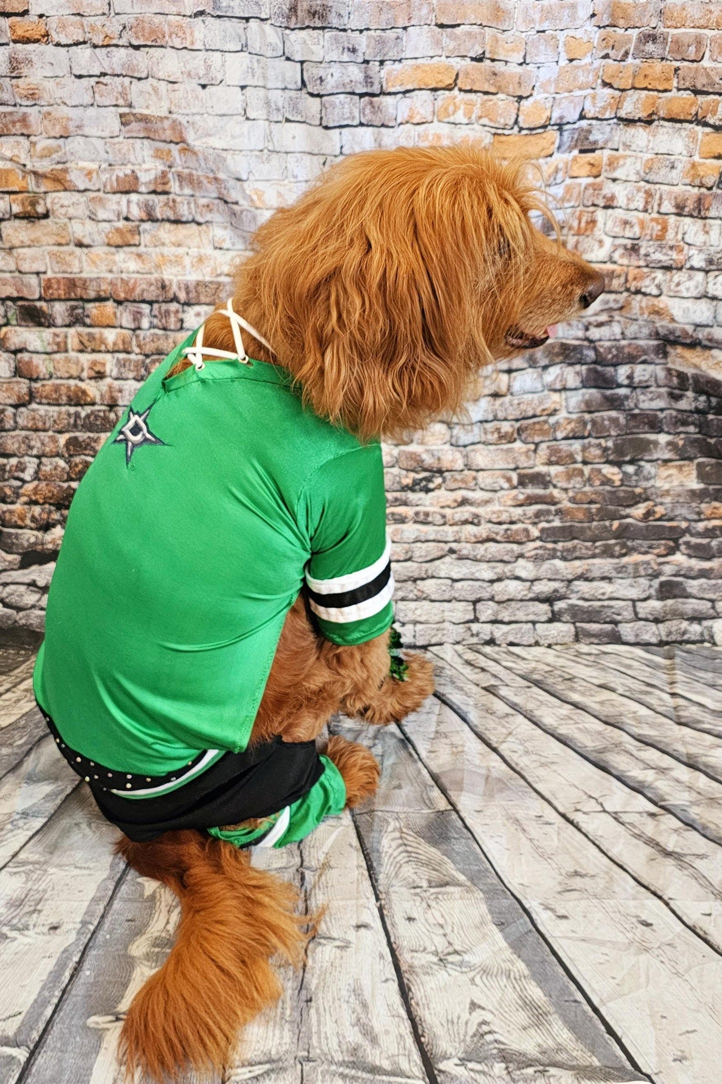 Dallas Stars pet costume, Dallas Star dog costume, Green pet Dancer costume, Green cheerleading pet costume, Dallas Stars cat costume