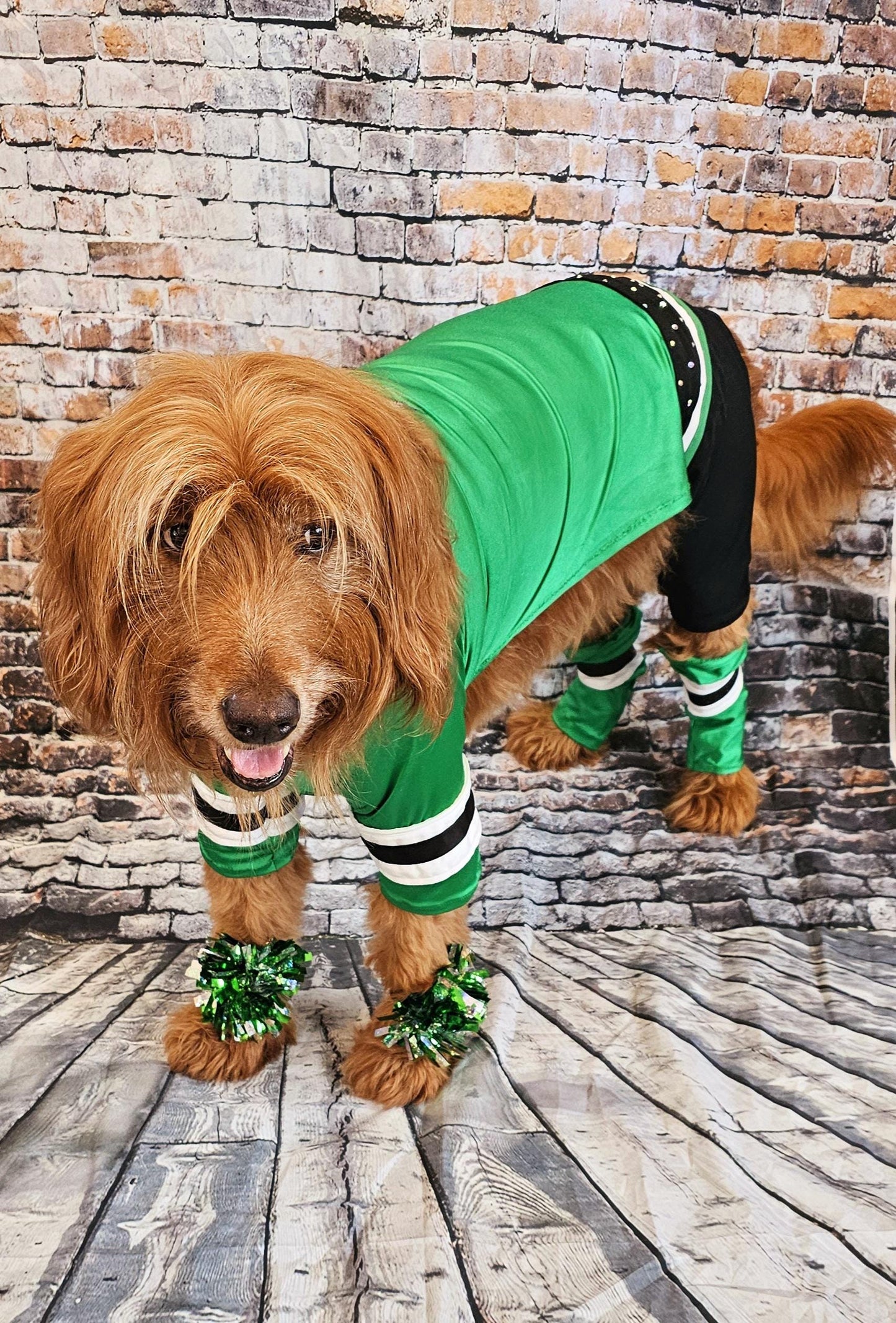 Dallas Stars pet costume, Dallas Star dog costume, Green pet Dancer costume, Green cheerleading pet costume, Dallas Stars cat costume