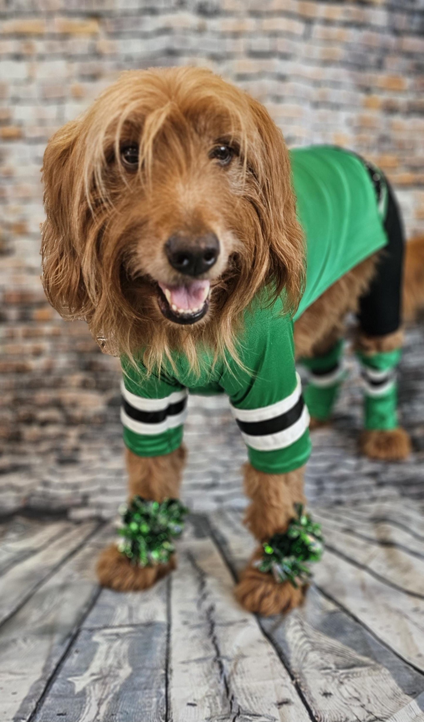 Dallas Stars pet costume, Dallas Star dog costume, Green pet Dancer costume, Green cheerleading pet costume, Dallas Stars cat costume