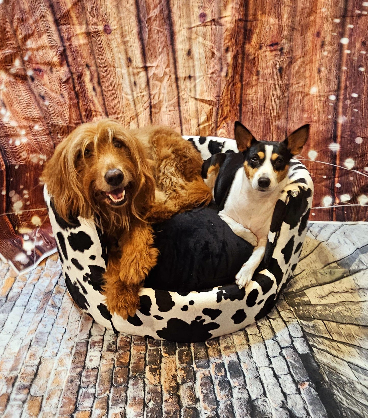 Cow print luxury Pet bed, Cow pet bed, Moo Cow Pet bed, Cow luxury dog bed, Cow print pet furniture, country pet bed, round pet bed