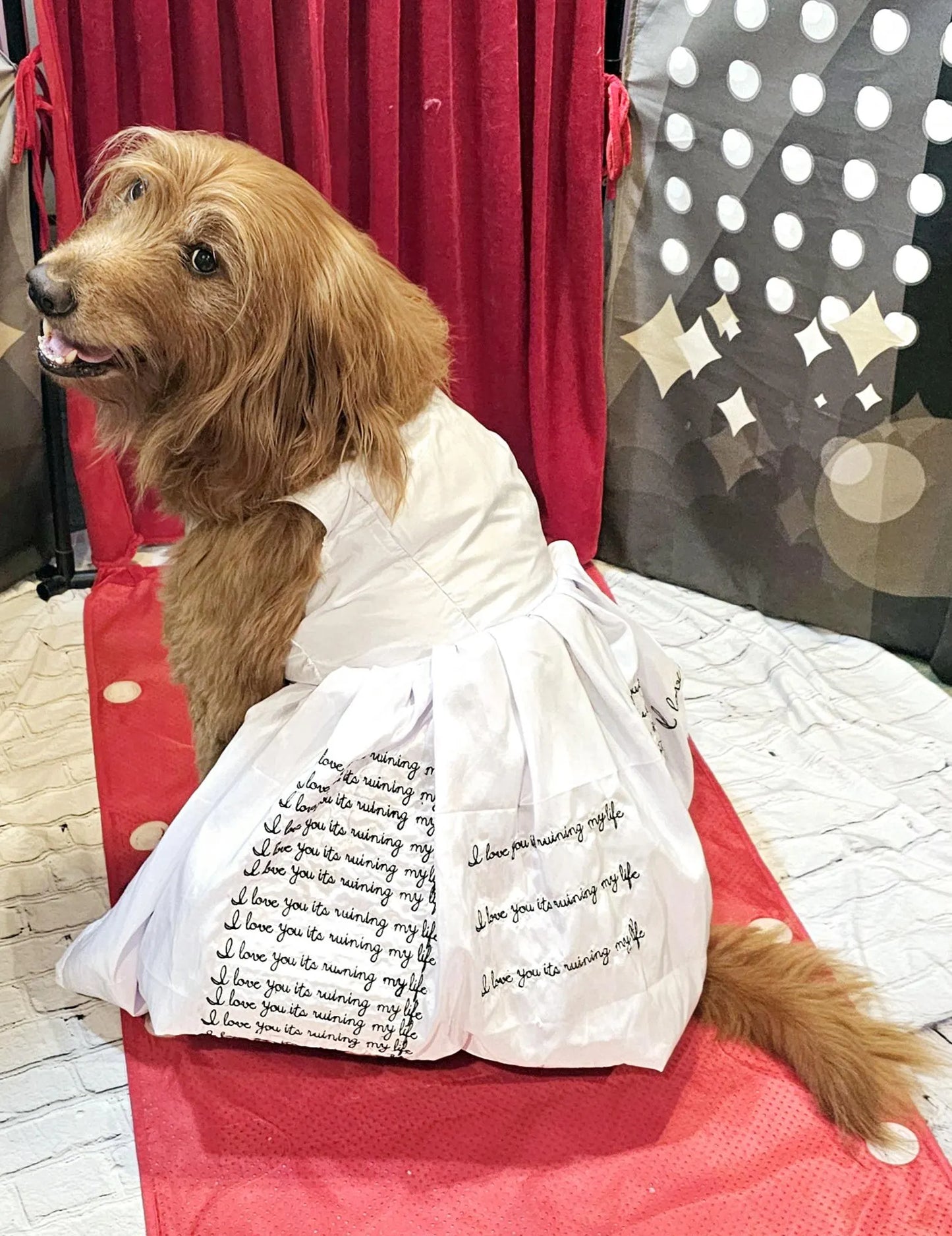- TTPD Eras pet dress, I love you its ruining my life pet dress, TTPD pet dress, ttpd dog costume, who's afraid of little old me pet dress