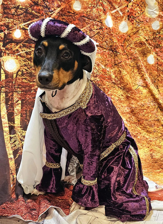 -  Renaissance pet dress, Renaissance dog dress, Renaissance cat dress, Medievil pet costume, Medievil pet dress, Medievil pet headdress
