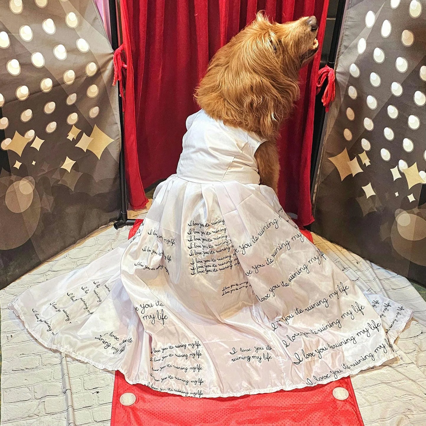 - TTPD Eras pet dress, I love you its ruining my life pet dress, TTPD pet dress, ttpd dog costume, who's afraid of little old me pet dress