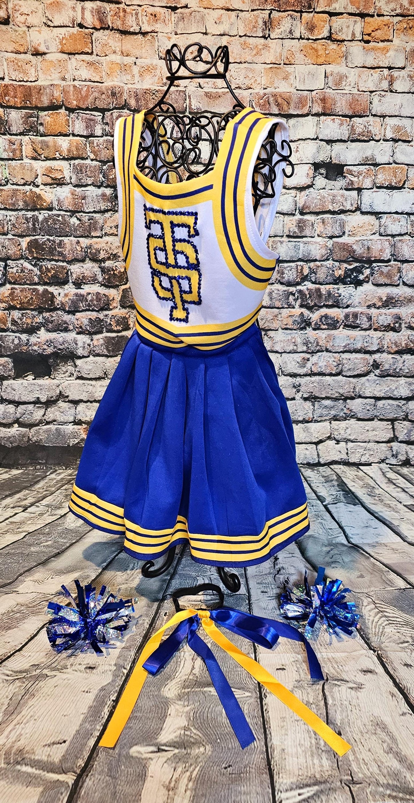 - Taylor 1989 Pet Era, Taylor 1989 pet era dress, Taylor Swift Pet cheerleading costume, 1989 cat era, 1989 dog era, Taylor Swift pet cheerleader