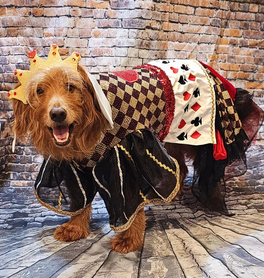 -  Queen of Hearts sequin pet costume