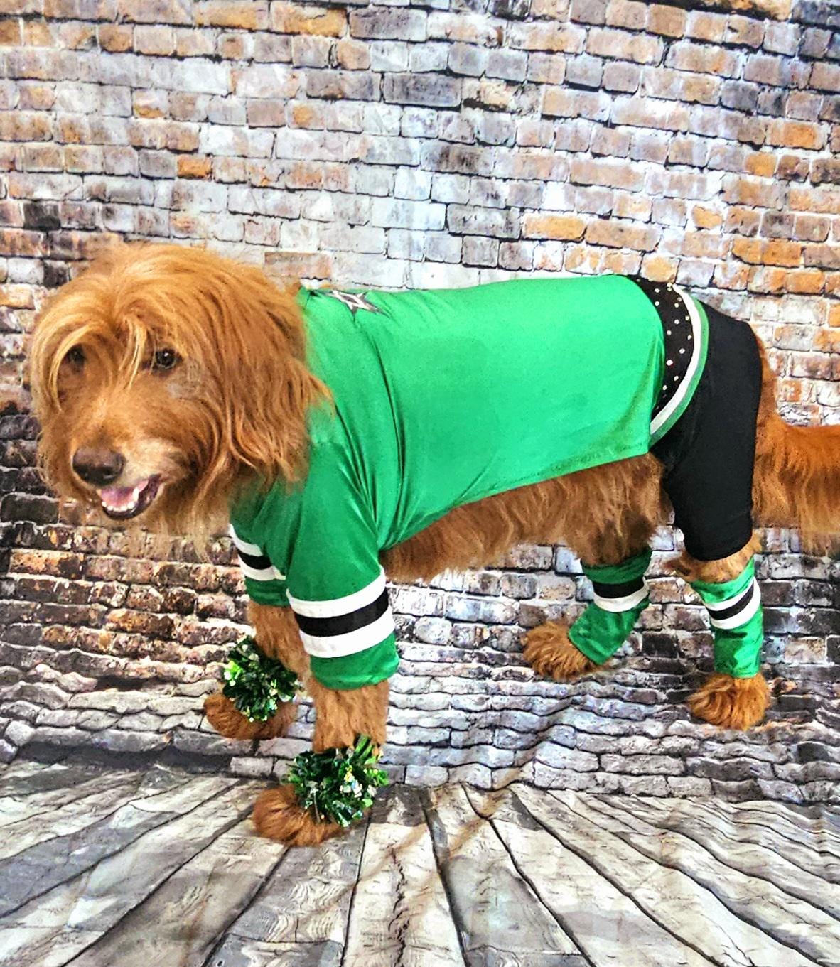 Dallas Stars pet costume, Dallas Star dog costume, Green pet Dancer costume, Green cheerleading pet costume, Dallas Stars cat costume