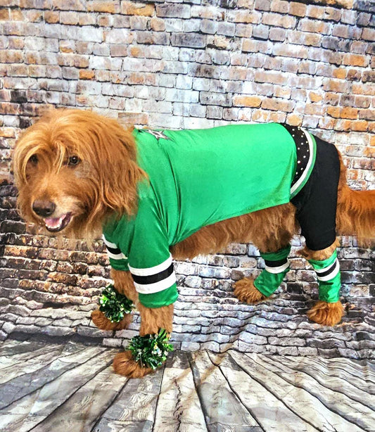 Dallas Stars pet costume, Dallas Star dog costume, Green pet Dancer costume, Green cheerleading pet costume, Dallas Stars cat costume