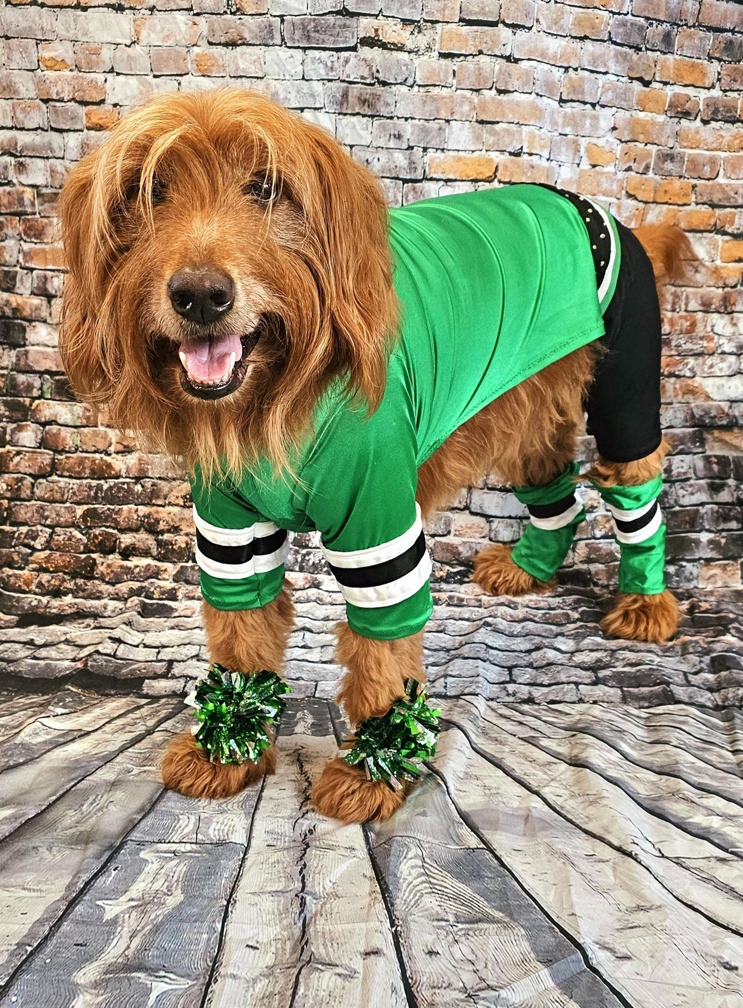 Dallas Stars pet costume, Dallas Star dog costume, Green pet Dancer costume, Green cheerleading pet costume, Dallas Stars cat costume