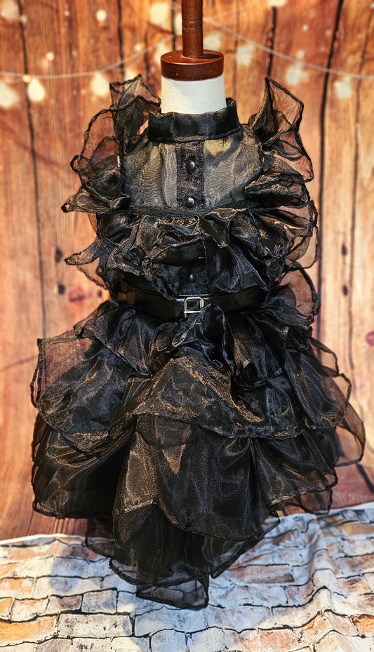 - Wednesday Raven Pet Prom dress, Wednesday Pet Costume, Wednesday Raven Dog dress, Wednesday dog costume, Wednesday Cat Dress, Raven Pet