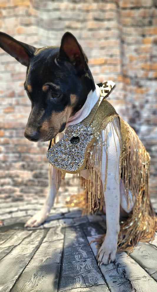 - Fearless Era pet costume, Taylor Swift Fearless era pet costume, Gold sequin tassel pet dress, Fearless dog costume, Fearless cat costume