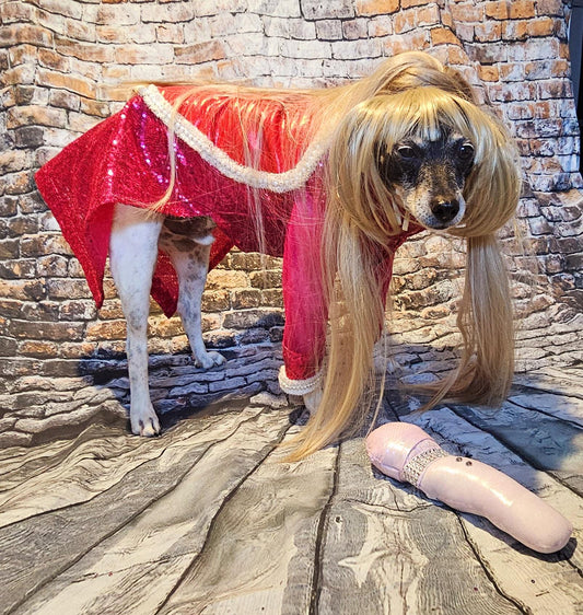 - Taylor Swift pet dress, Taylor lover pet dress, Taylor Me pet dress, Taylor Swift dog dress, Taylor cat dress, lover era pet costume, heart