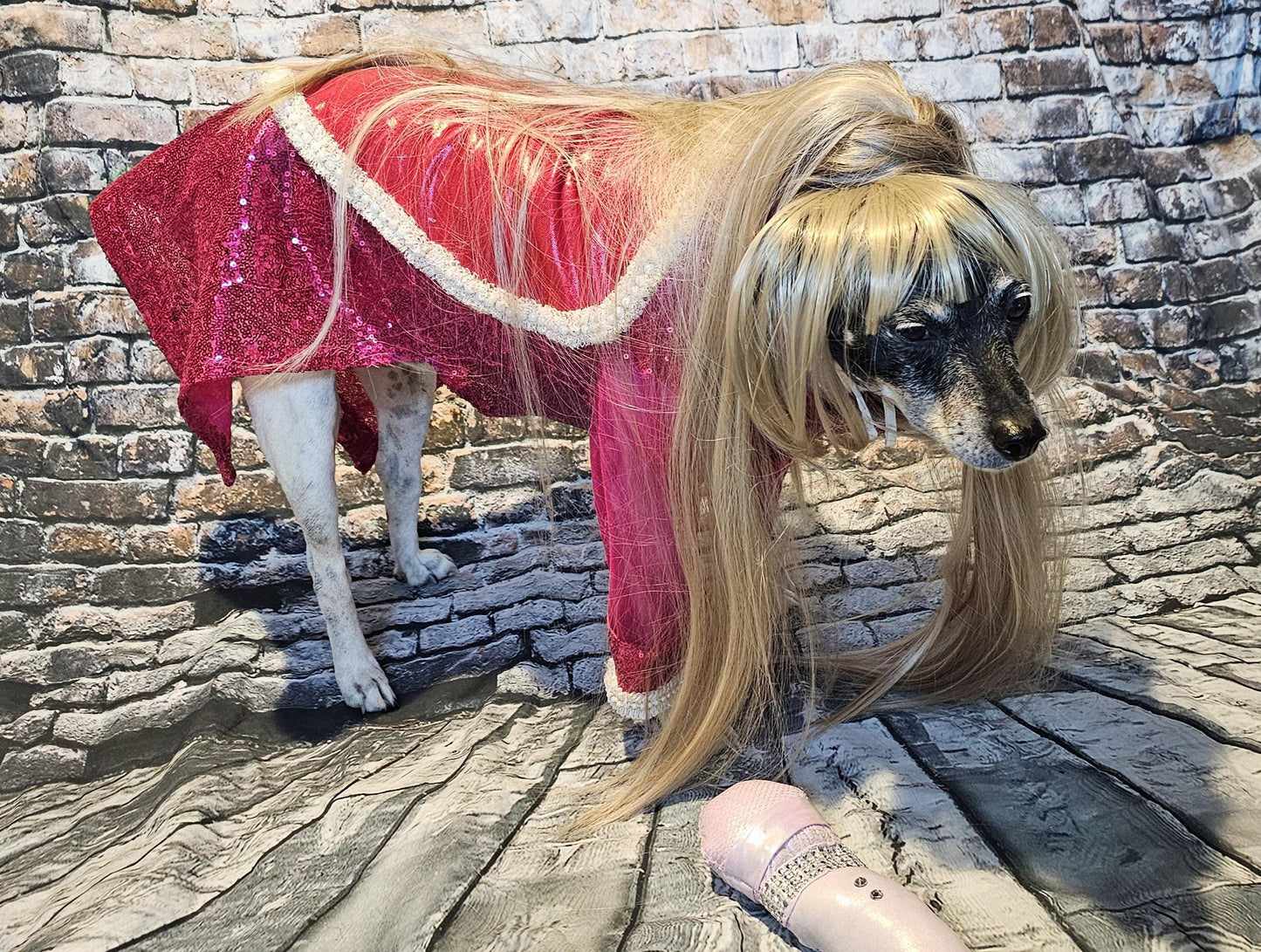 - Taylor Swift pet dress, Taylor lover pet dress, Taylor Me pet dress, Taylor Swift dog dress, Taylor cat dress, lover era pet costume, heart
