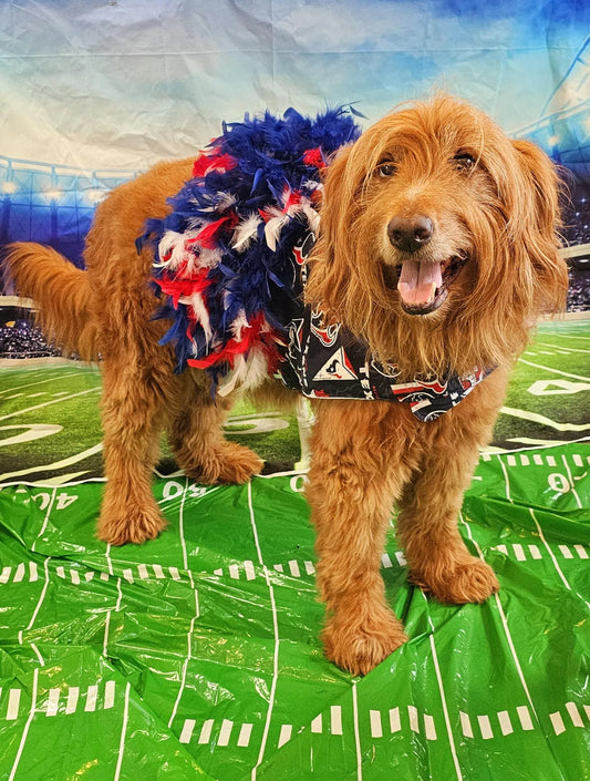 Houston Texans feather Pet dress, Texans feather dog dresses, Texans cat dress, Houston Texans Pet dresses, feather pet dresses, dog dress