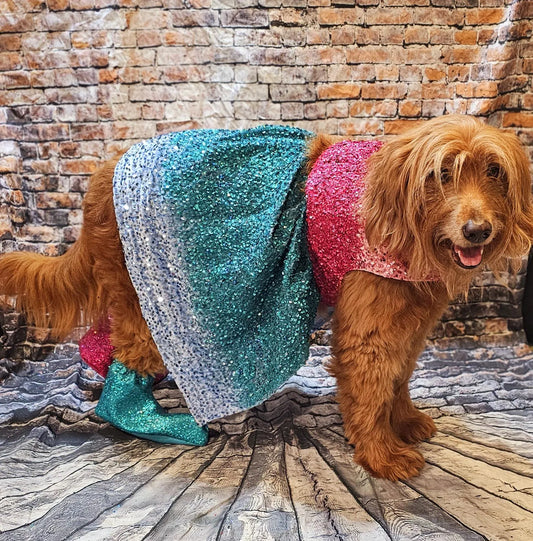 - Taylor 1989 Eras pet costume, Taylor 1989 pet costume, 1989 dog sequin costume, 1989 sequin pet dress, Taylor Swift pet costume, 1989 cat dress