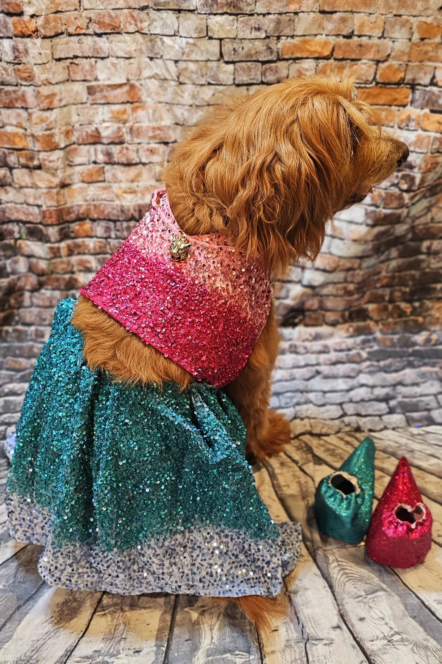 - Taylor 1989 Eras pet costume, Taylor 1989 pet costume, 1989 dog sequin costume, 1989 sequin pet dress, Taylor Swift pet costume, 1989 cat dress