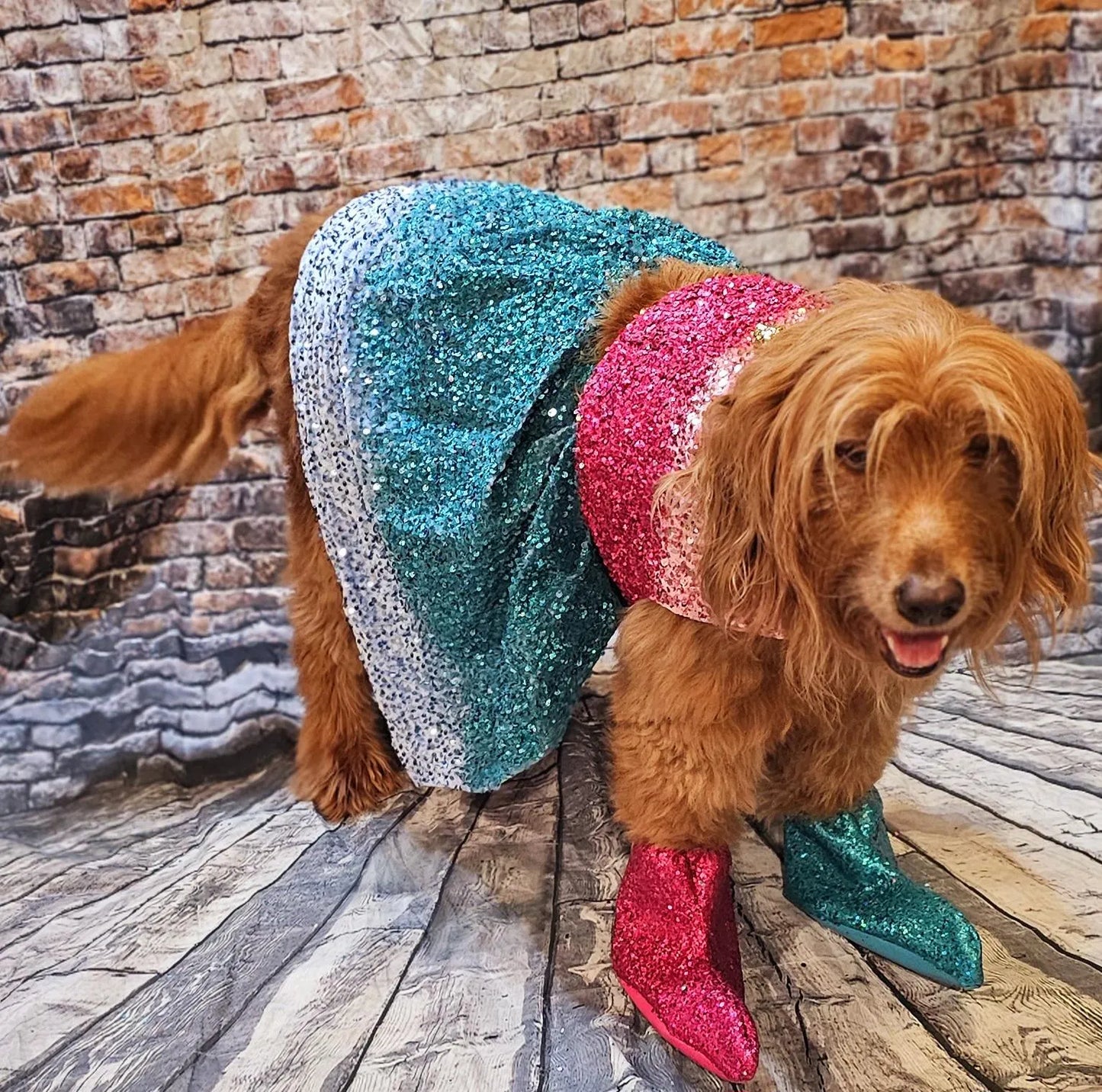 - Taylor 1989 Eras pet costume, Taylor 1989 pet costume, 1989 dog sequin costume, 1989 sequin pet dress, Taylor Swift pet costume, 1989 cat dress
