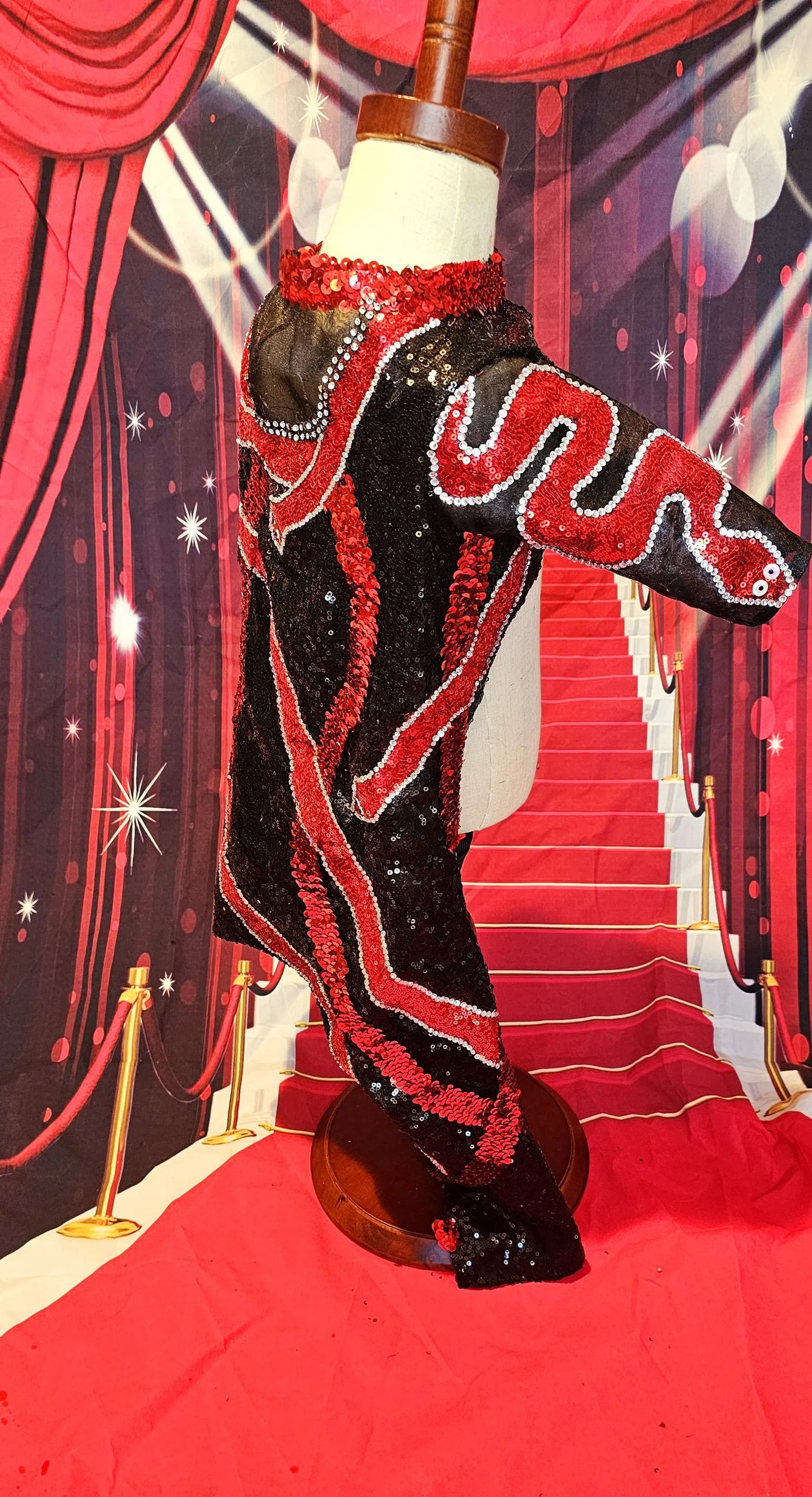 -  Reputation Pet body suit, Reputation dog body suit, Reputation cat body suit, Taylor Era's tour pet costume, Reputation pet costume