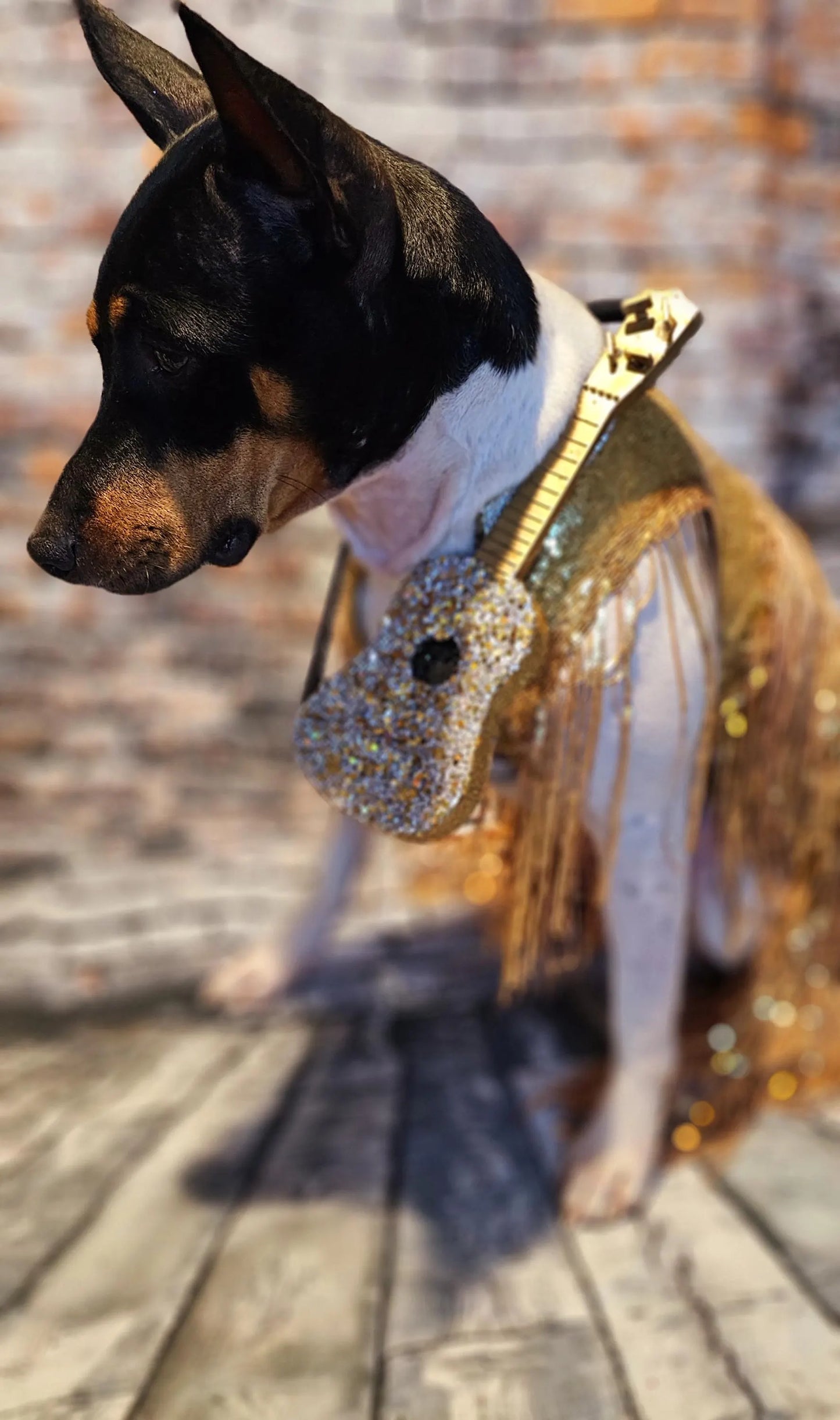 - Fearless Era pet costume, Taylor Swift Fearless era pet costume, Gold sequin tassel pet dress, Fearless dog costume, Fearless cat costume