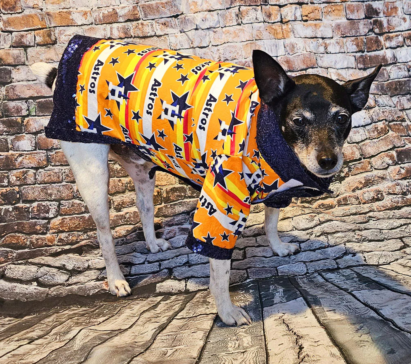 Houston Astros sequin Pet Shirt, Astros Pet shirt, Houston Astros dog shirt, vintage Astros Pet shirt, Astros sequin pet shirt, Astros collar pet