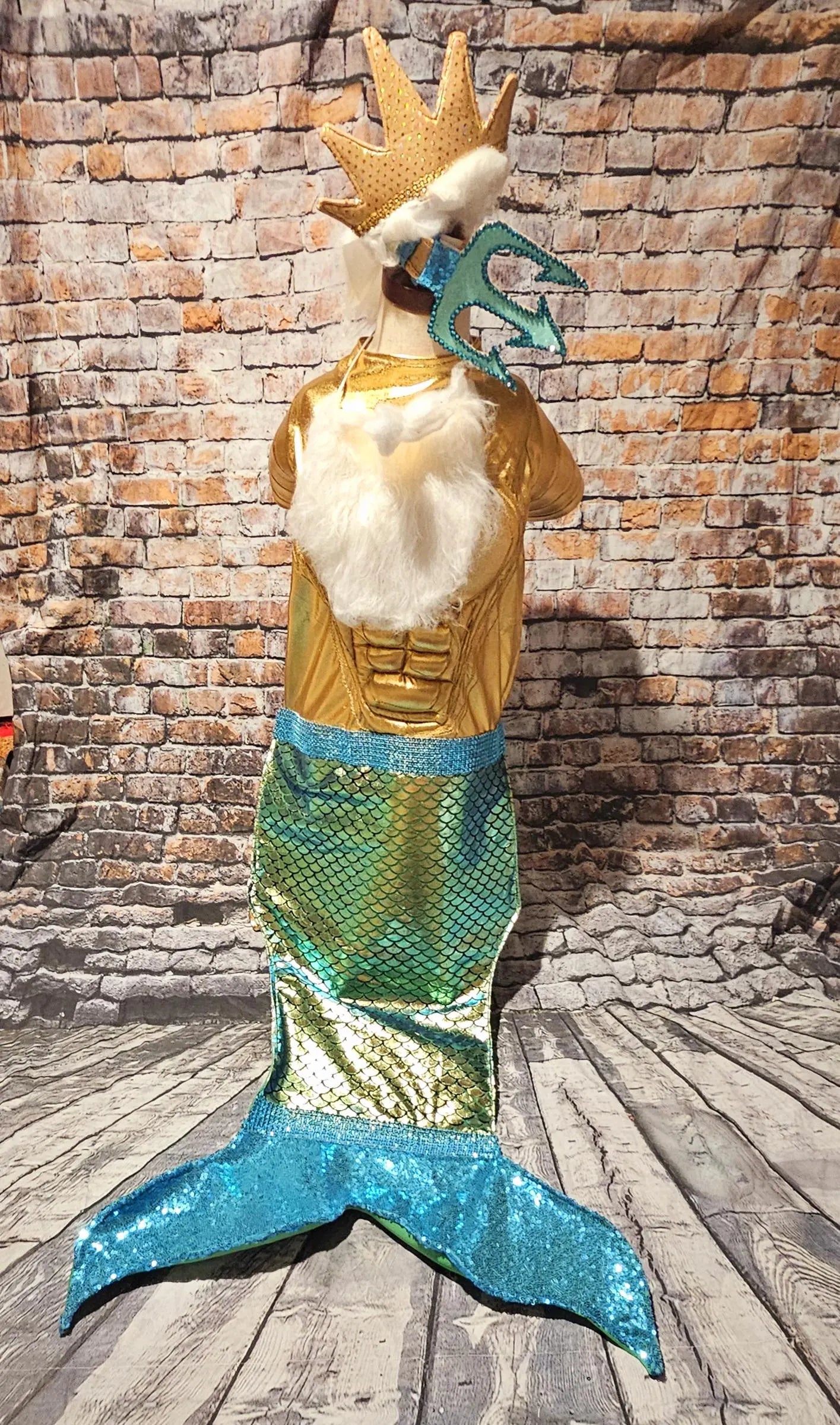 - King Triton Pet Costume,  King Triton dog costume, Sea King pet costume, male mermaid pet costume, Sea King dog costume, male mermaid dog