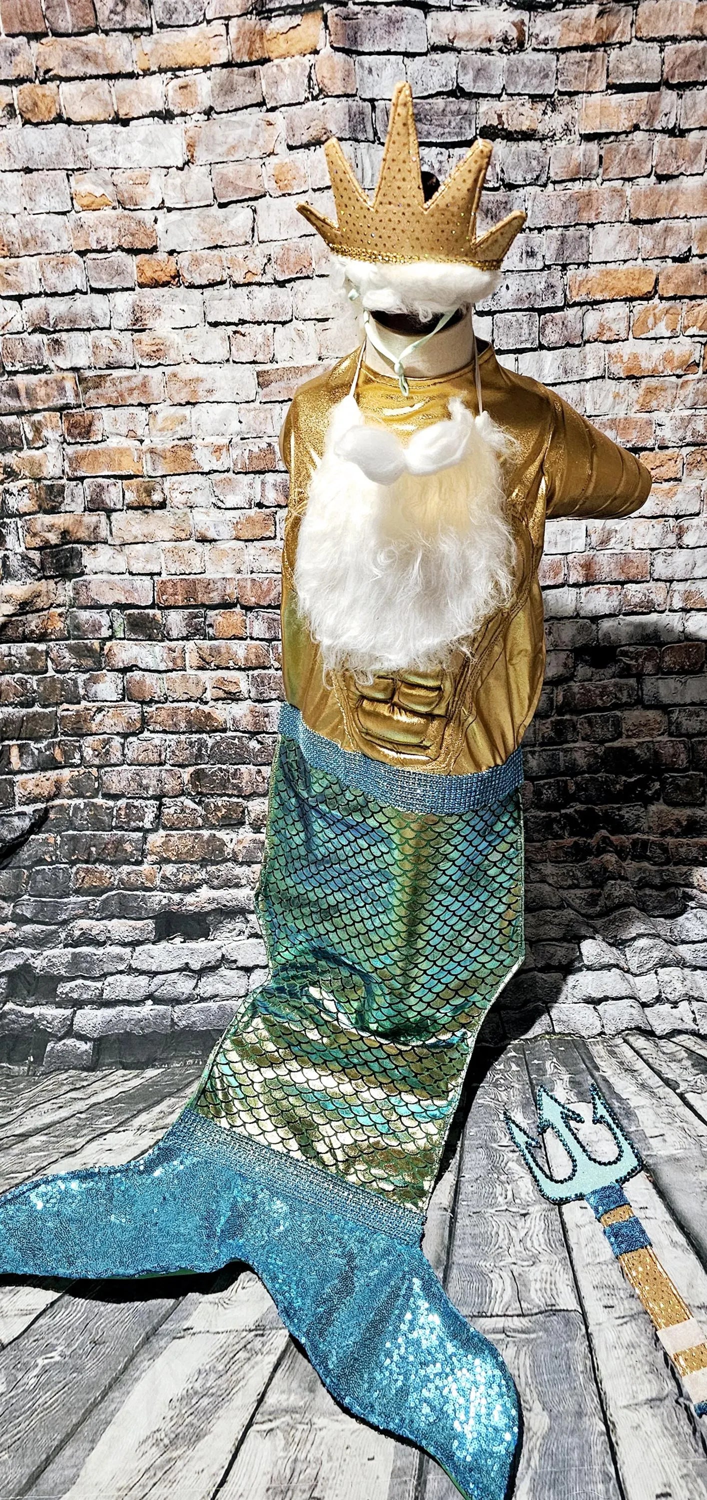 - King Triton Pet Costume,  King Triton dog costume, Sea King pet costume, male mermaid pet costume, Sea King dog costume, male mermaid dog