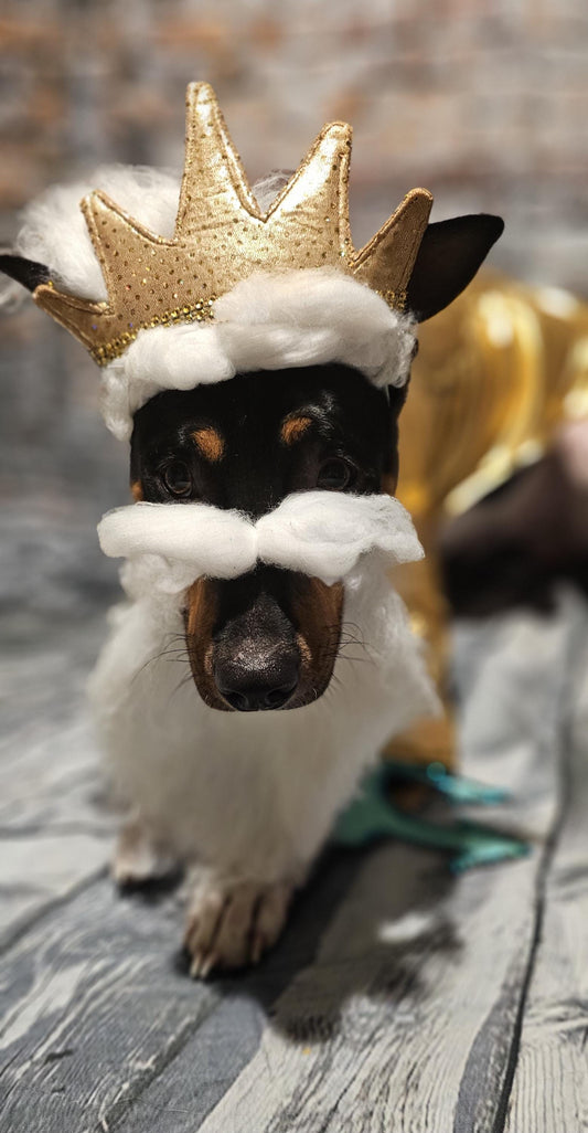 King Triton Pet wig, beard and crown, King Triton dog wig and crown, Sea King Pet wig, beard and crown, Mermaid Pet wig and beard