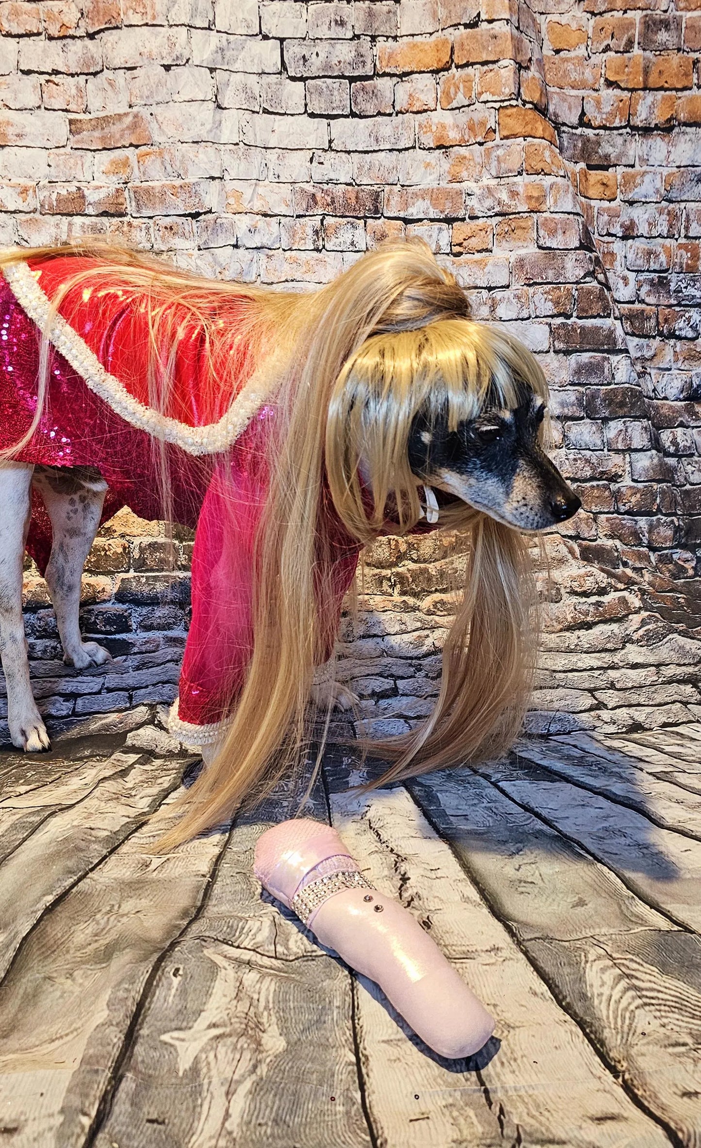 Pet Wigs, dog wigs, cat wigs, wigs for pets, Halloween Pet wigs, blond pet wig, brown pet wig, black pet wig, ponytail pet wig, wigs for dog
