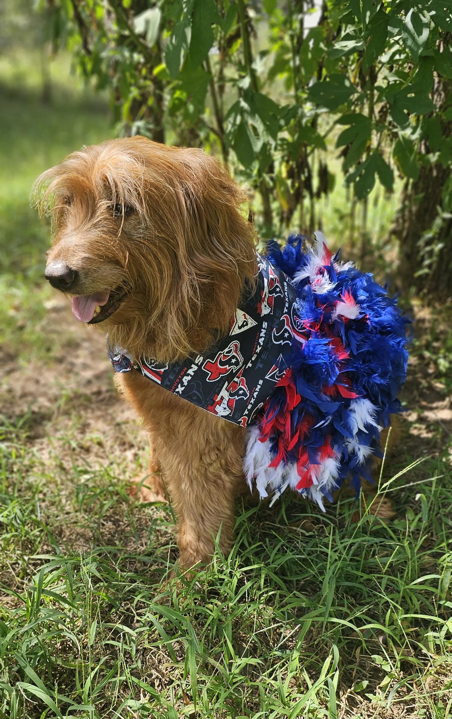 Houston Texans feather Pet dress, Texans feather dog dresses, Texans cat dress, Houston Texans Pet dresses, feather pet dresses, dog dress