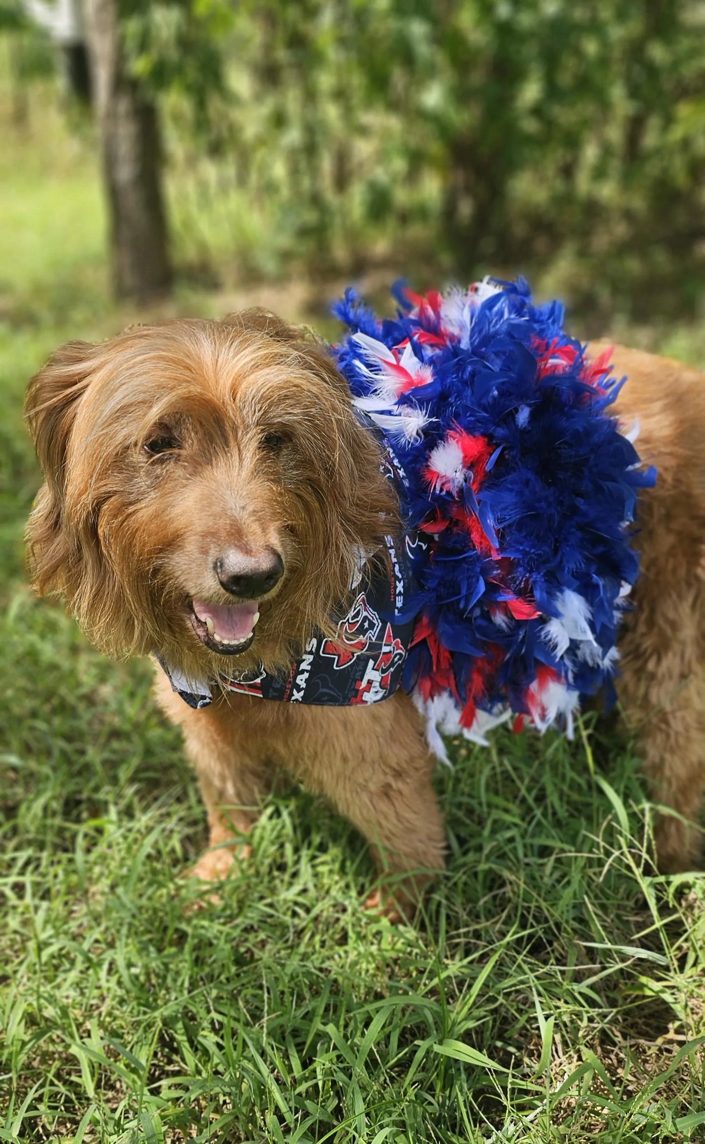 Houston Texans feather Pet dress, Texans feather dog dresses, Texans cat dress, Houston Texans Pet dresses, feather pet dresses, dog dress