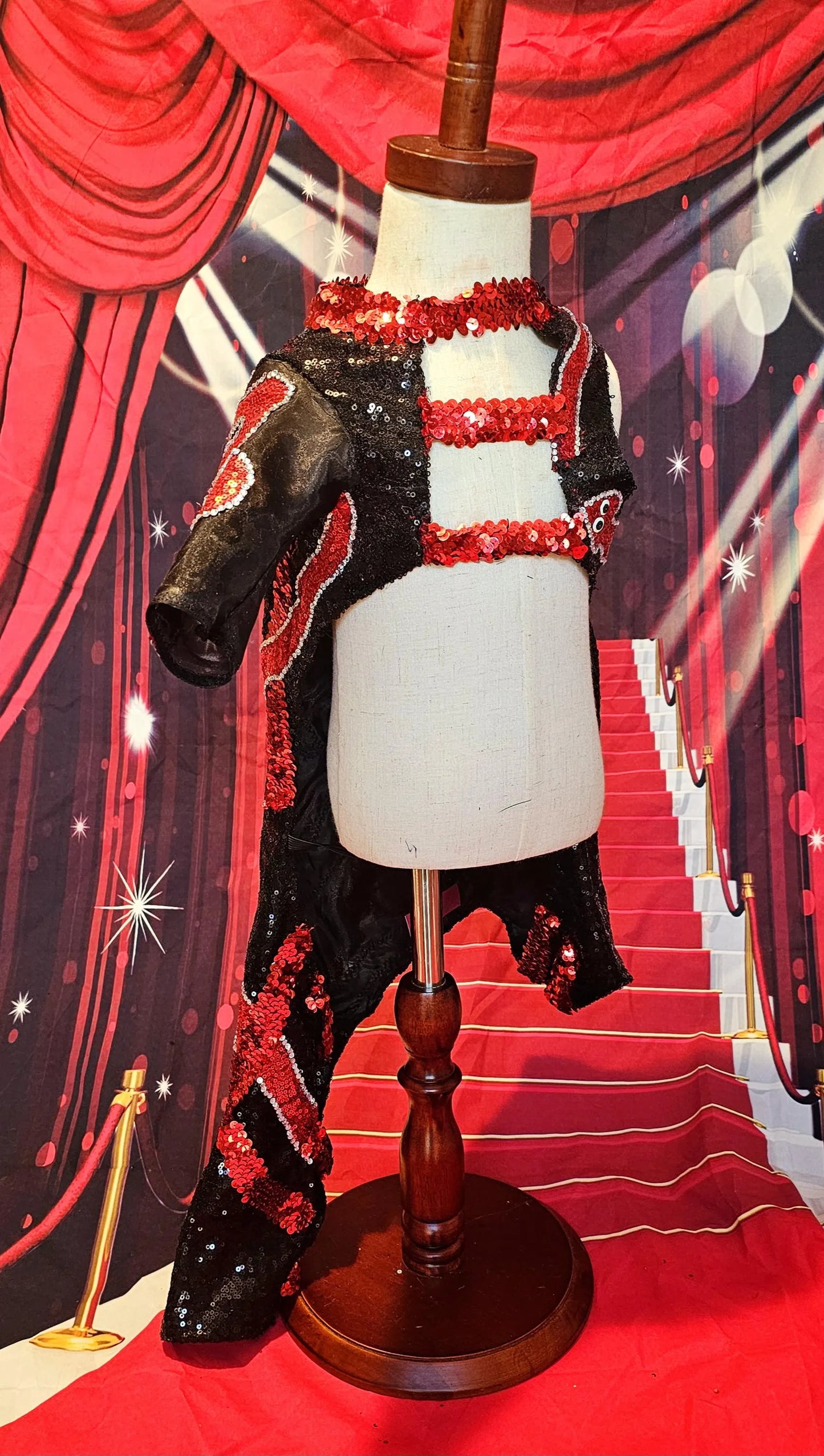 -  Reputation Pet body suit, Reputation dog body suit, Reputation cat body suit, Taylor Era's tour pet costume, Reputation pet costume