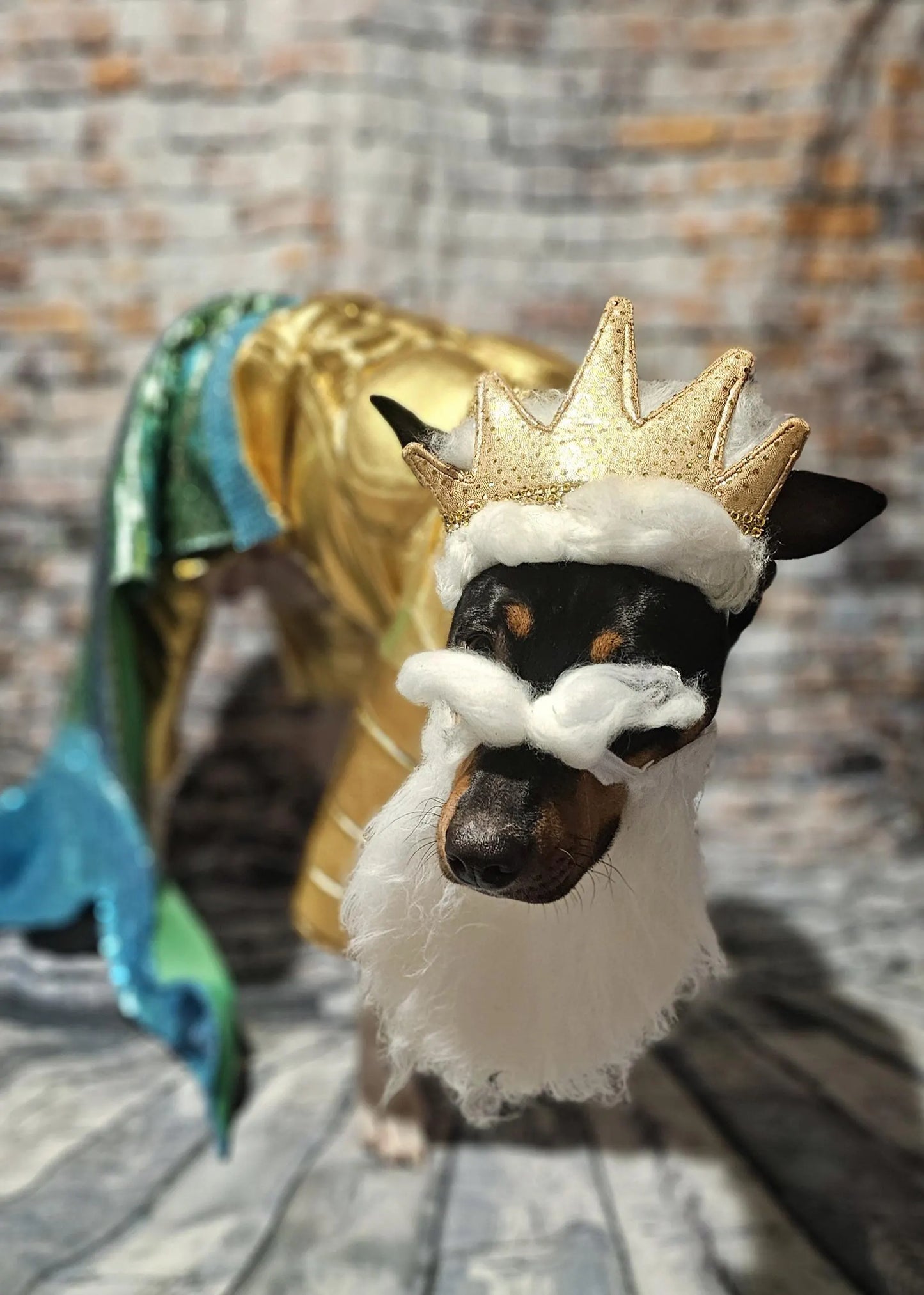 - King Triton Pet Costume,  King Triton dog costume, Sea King pet costume, male mermaid pet costume, Sea King dog costume, male mermaid dog