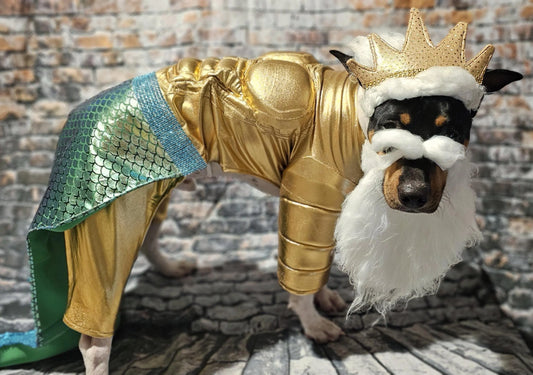 - King Triton Pet Costume,  King Triton dog costume, Sea King pet costume, male mermaid pet costume, Sea King dog costume, male mermaid dog