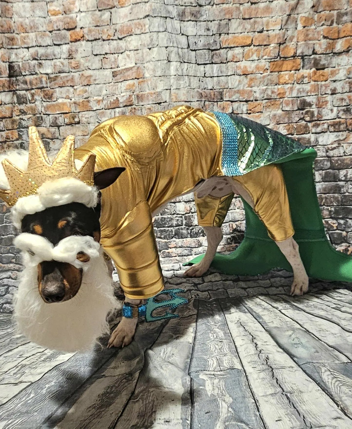- King Triton Pet Costume,  King Triton dog costume, Sea King pet costume, male mermaid pet costume, Sea King dog costume, male mermaid dog
