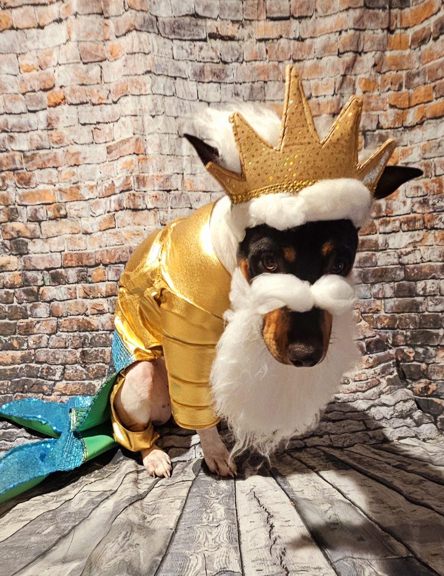 King Triton Pet wig, beard and crown, King Triton dog wig and crown, Sea King Pet wig, beard and crown, Mermaid Pet wig and beard