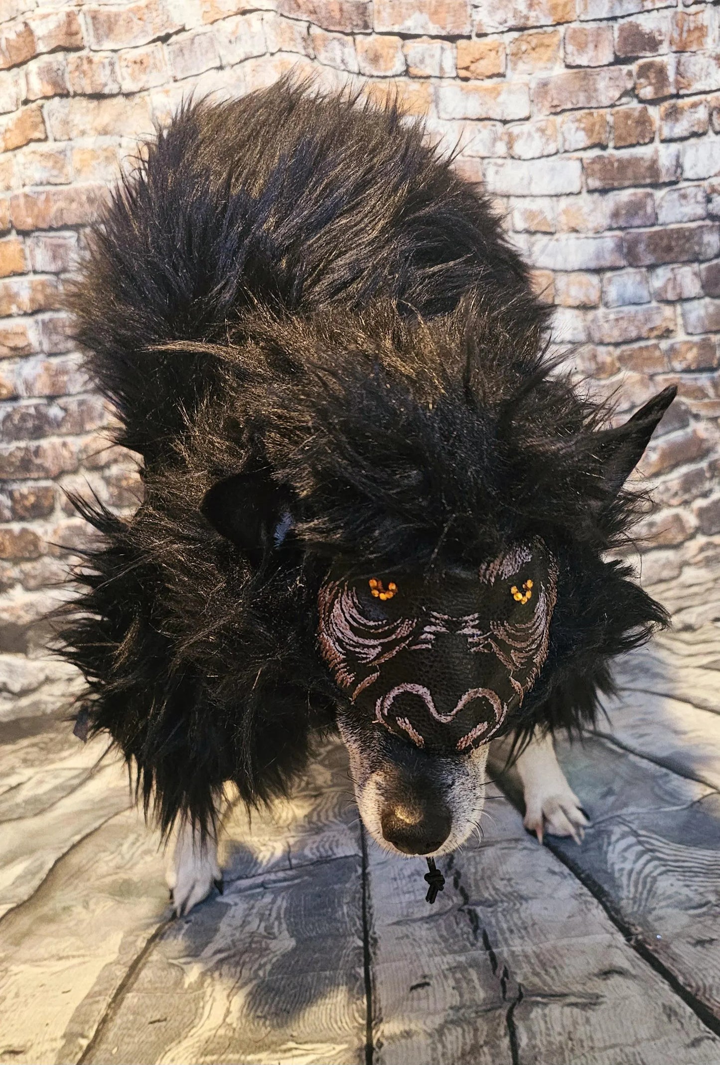- King Kong pet costume, King kong dog costume, king kong cat costume, gorilla pet costume, gorilla dog costume, gorilla cat costume