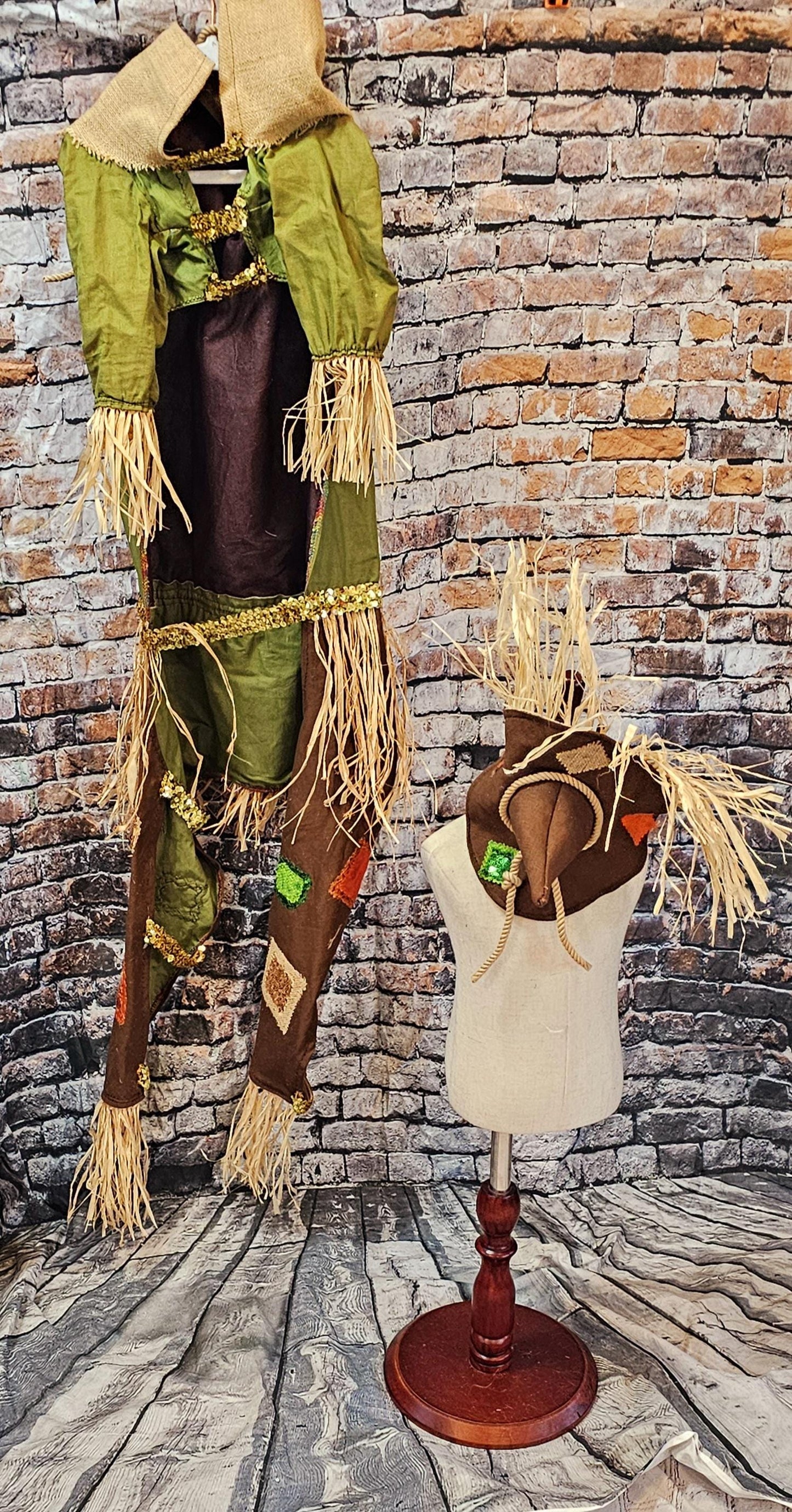 - Scarecrow pet costume, Scarecrow dog costume, Scarecrow cat costume