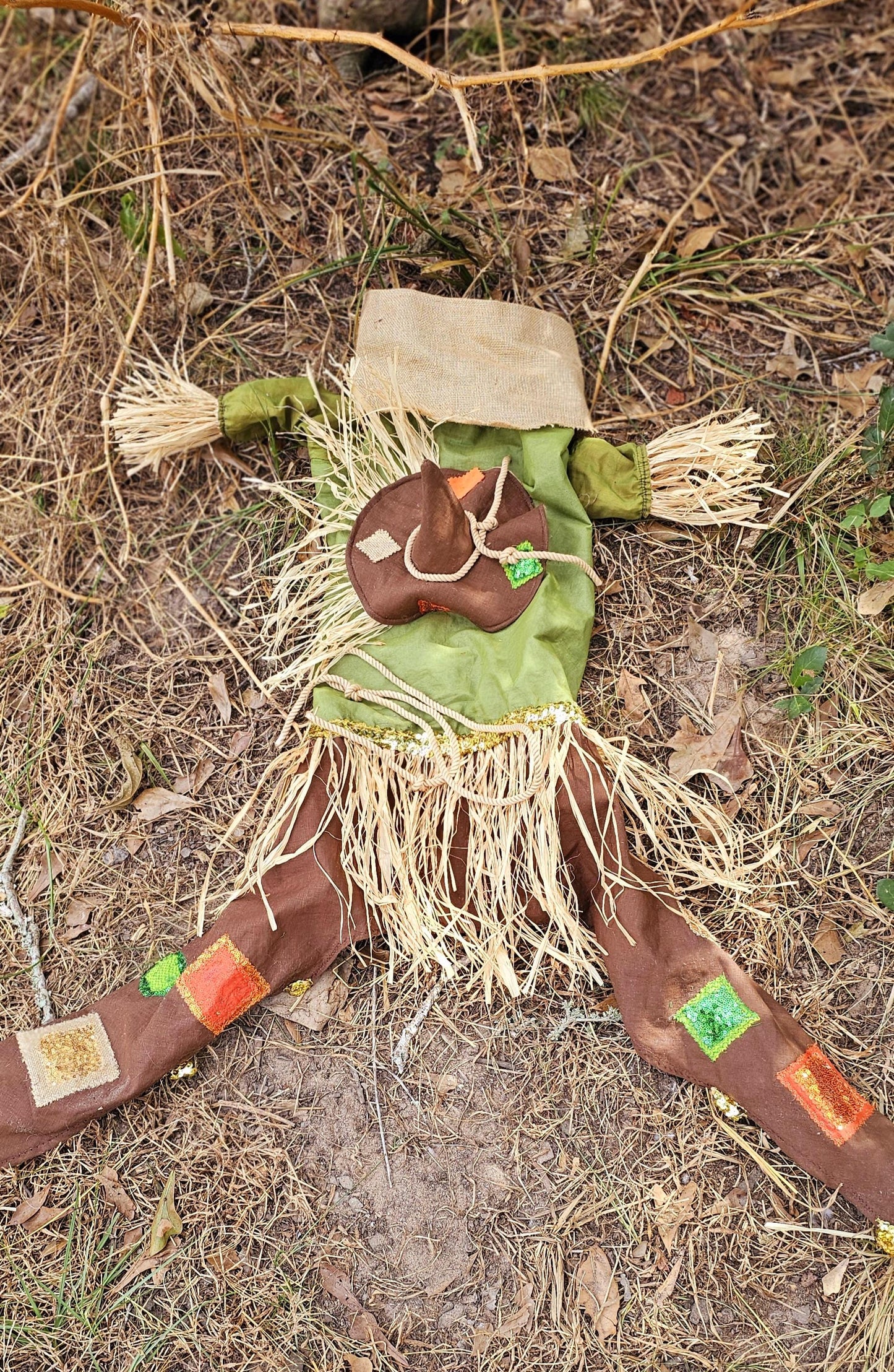 - Scarecrow pet costume, Scarecrow dog costume, Scarecrow cat costume