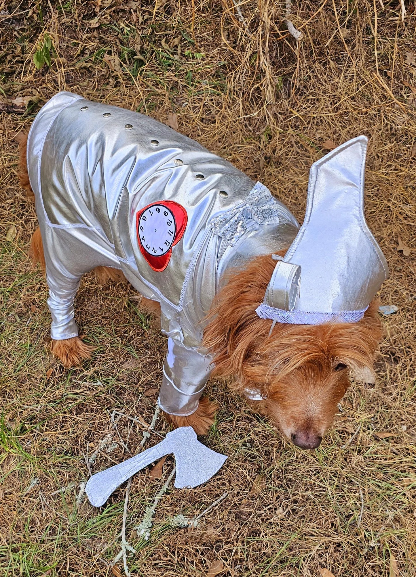 - Tin man pet costume, Tin man dog costume, Tin man cat costume, pet Tin man costume, dog Tin man costume, Tin Man costume for dogs