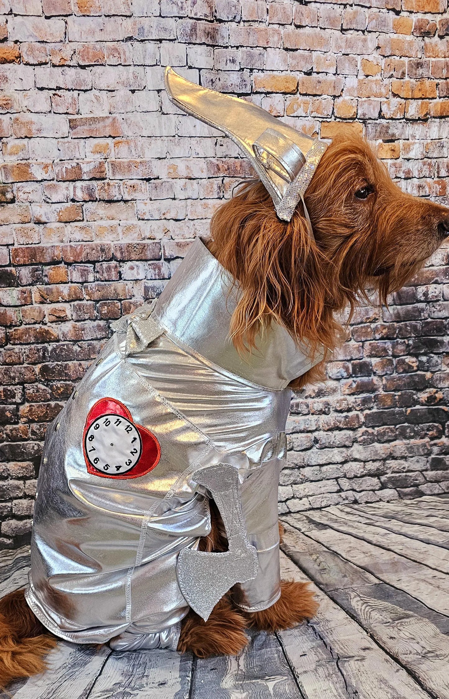 - Tin man pet costume, Tin man dog costume, Tin man cat costume, pet Tin man costume, dog Tin man costume, Tin Man costume for dogs