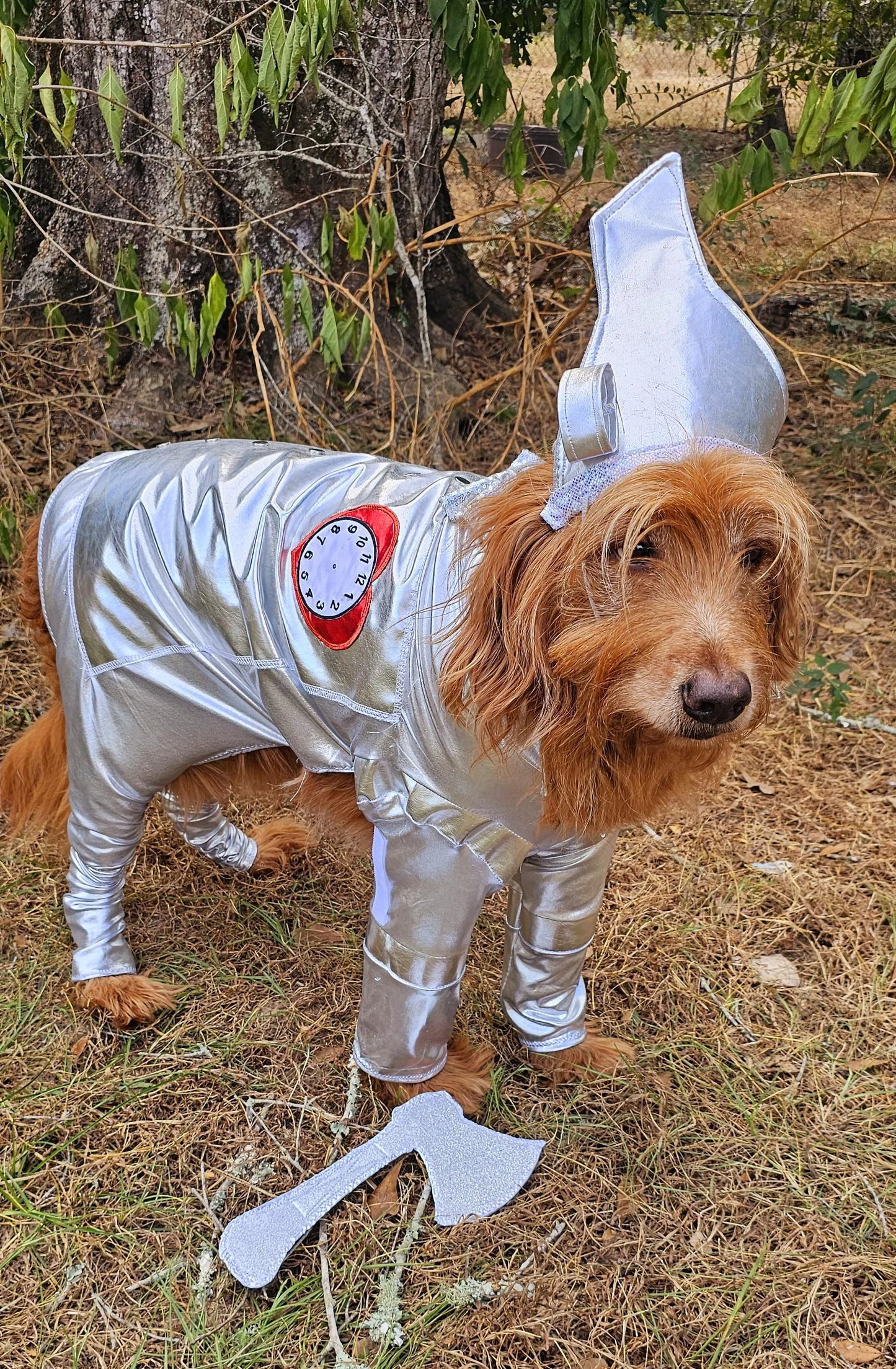 - Tin man pet costume, Tin man dog costume, Tin man cat costume, pet Tin man costume, dog Tin man costume, Tin Man costume for dogs