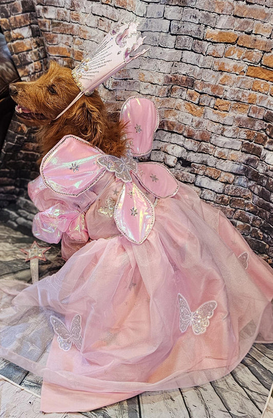 - Glinda the Good Witch pet costume, Galinda good witch dog costume, Glinda good witch cat costume, glinda witch pet costume, good witch pet