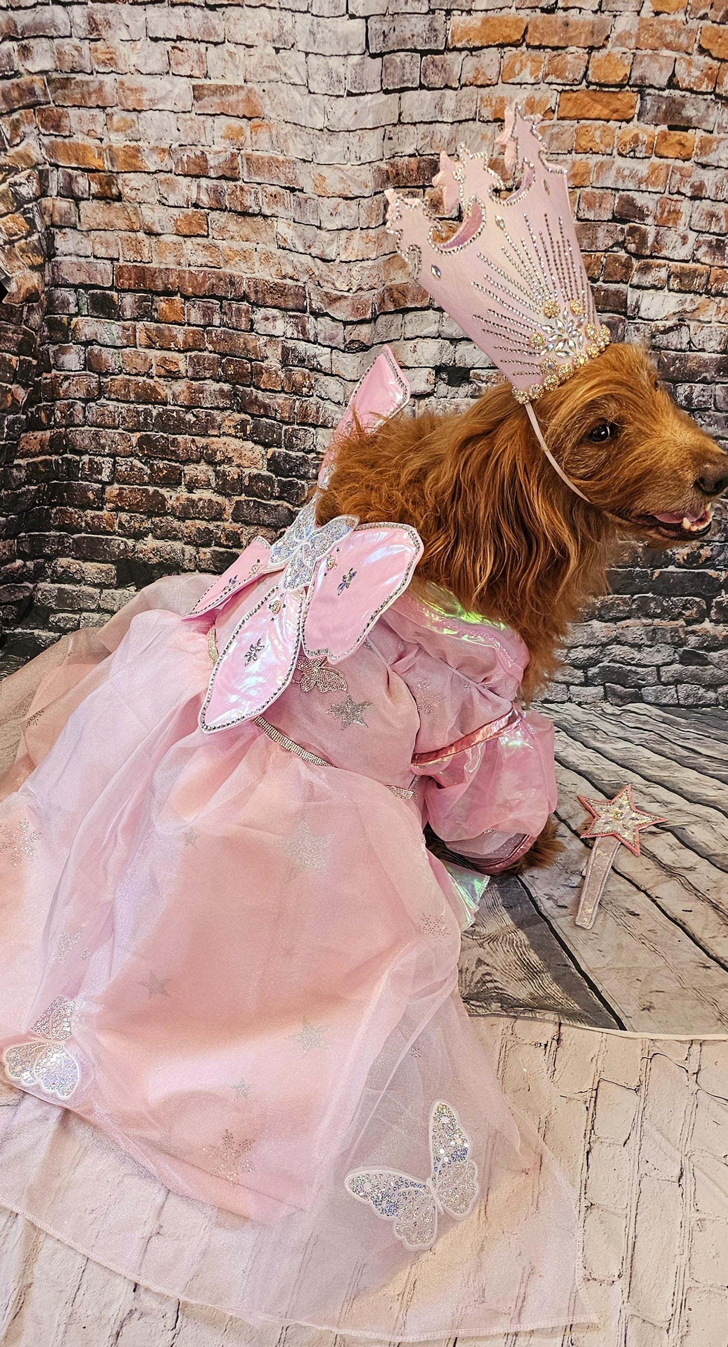 - Glinda the Good Witch pet costume, Galinda good witch dog costume, Glinda good witch cat costume, glinda witch pet costume, good witch pet