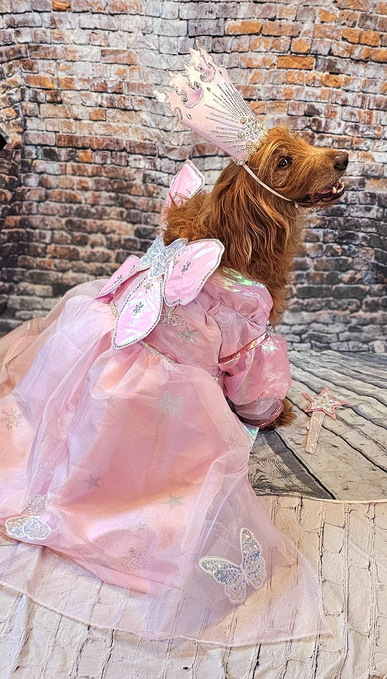 - Glinda the Good Witch pet costume, Galinda good witch dog costume, Glinda good witch cat costume, glinda witch pet costume, good witch pet