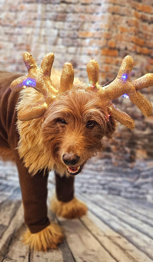 Light up pet antlers, light up dog antlers, Reindeer pet antlers, light up cat antlers, Reindeer dog light up antlers, antlers for pets