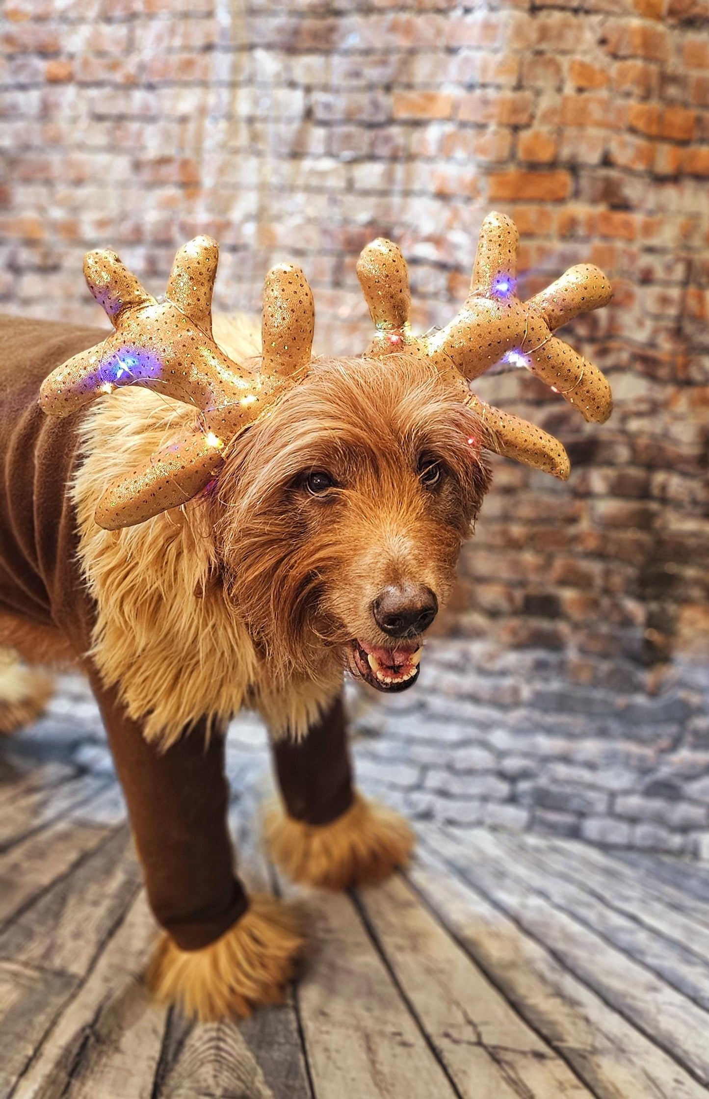 Light up pet antlers, light up dog antlers, Reindeer pet antlers, light up cat antlers, Reindeer dog light up antlers, antlers for pets