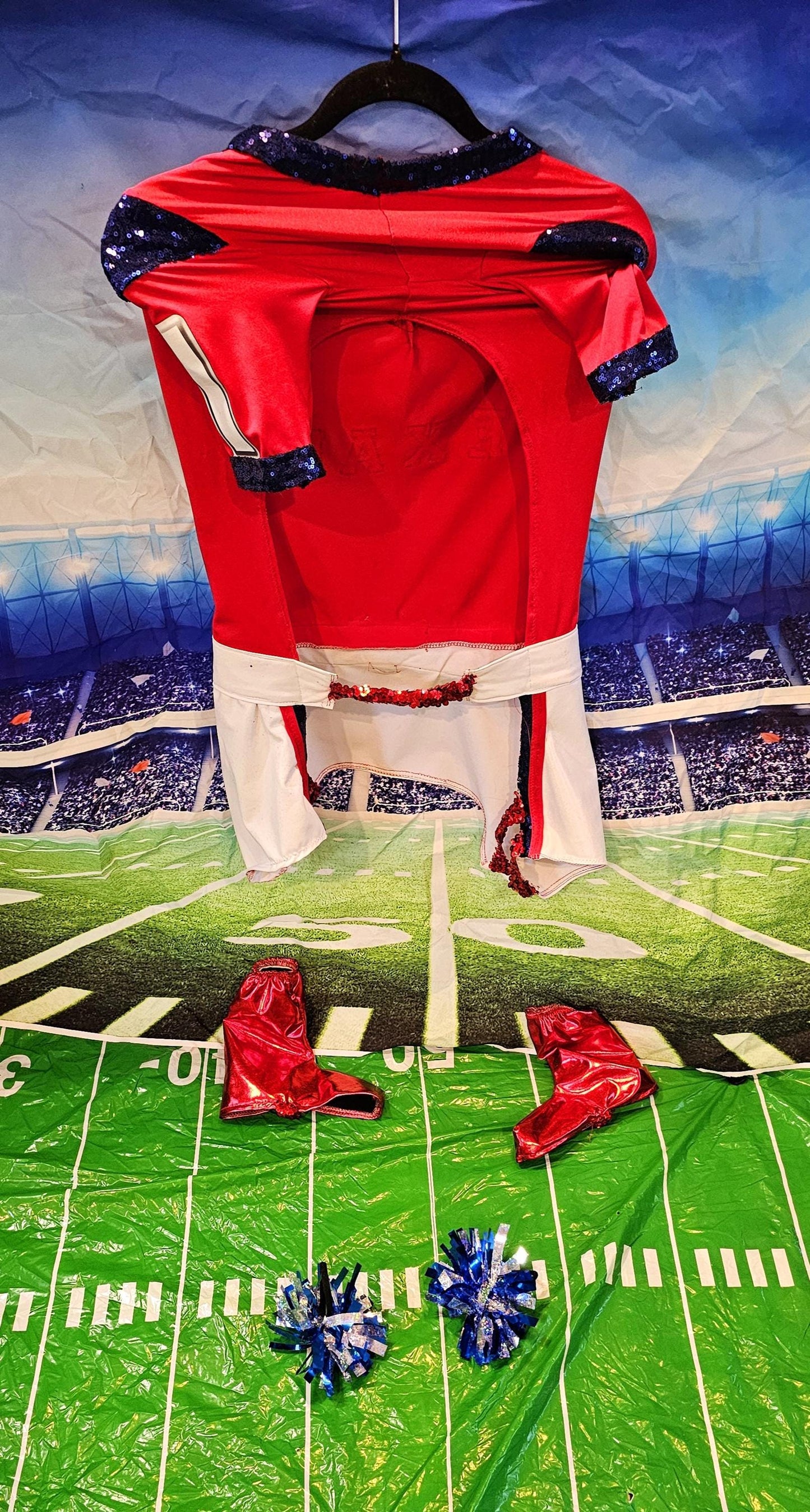 Houston Texans pet cheerleader costume, Texans dog cheerleader, Texans cat cheerleader