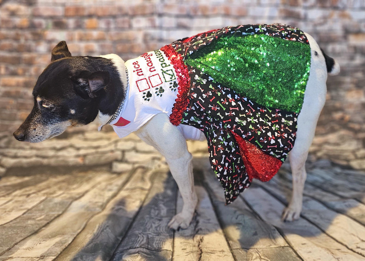 Embroidered Christmas sequin pet dress, naughty or nice pet dress, holiday pet dress, Christmas dog dress, embroidered dog dress, sequin pet dress