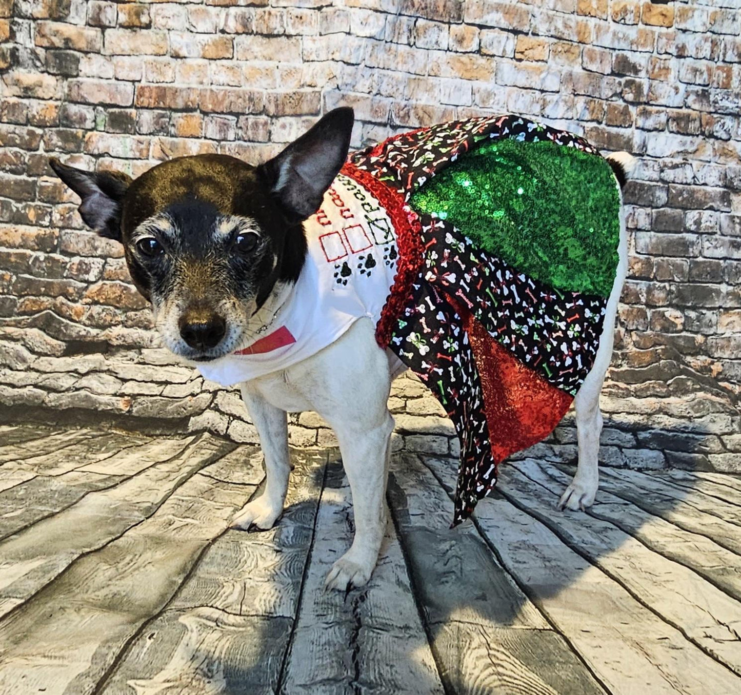 Embroidered Christmas sequin pet dress, naughty or nice pet dress, holiday pet dress, Christmas dog dress, embroidered dog dress, sequin pet dress